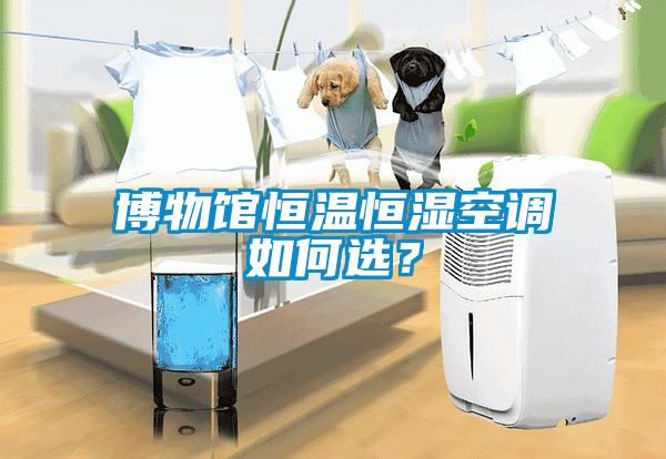 博物館恒溫恒濕空調(diào)如何選?