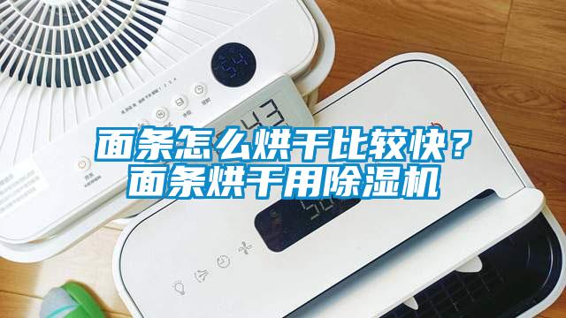 面條怎么烘干比較快？面條烘干用除濕機(jī)
