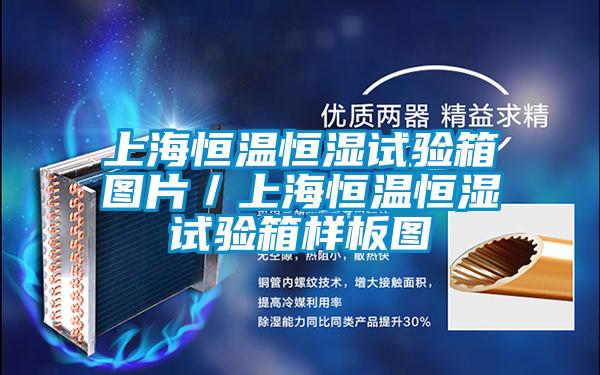 上海恒溫恒濕試驗(yàn)箱圖片/上海恒溫恒濕試驗(yàn)箱樣板圖