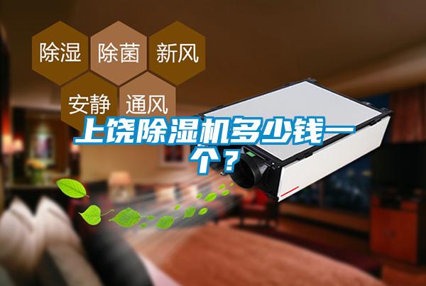 上饒除濕機多少錢一個？