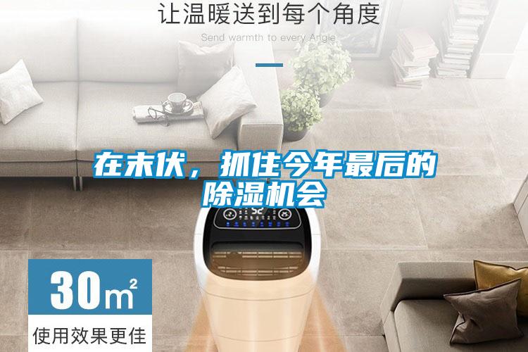在末伏，抓住今年最后的除濕機(jī)會(huì)