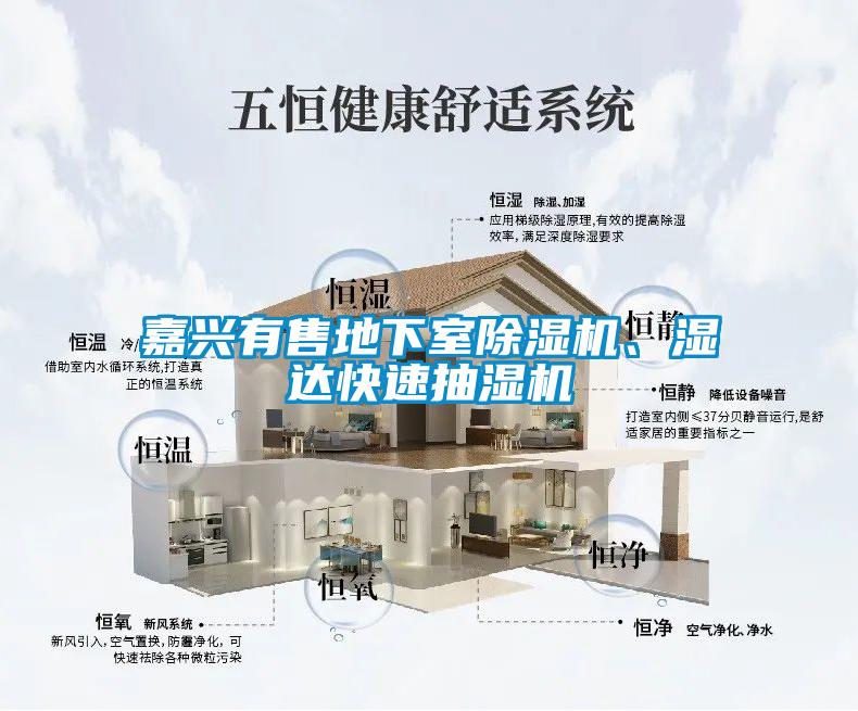 嘉興有售地下室除濕機(jī)、濕達(dá)快速抽濕機(jī)