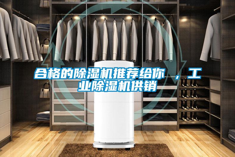 合格的除濕機(jī)推薦給你 ，工業(yè)除濕機(jī)供銷