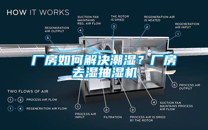 廠房如何解決潮濕？廠房去濕抽濕機