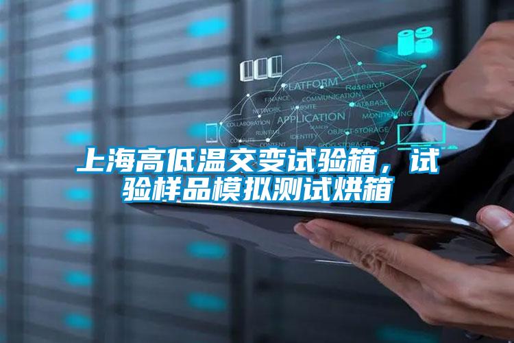 上海高低溫交變?cè)囼?yàn)箱，試驗(yàn)樣品模擬測(cè)試烘箱