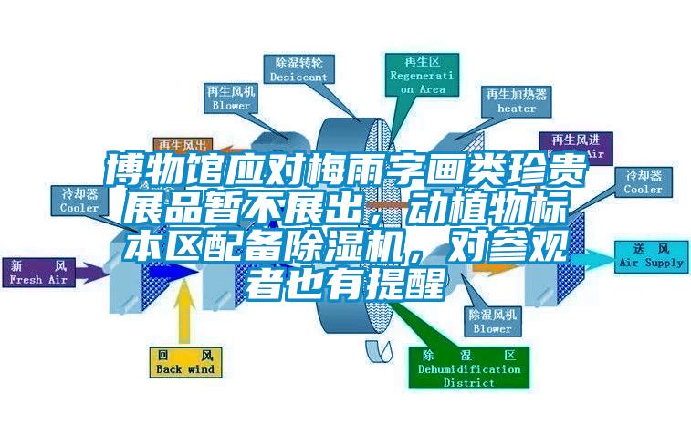 博物館應(yīng)對(duì)梅雨字畫類珍貴展品暫不展出，動(dòng)植物標(biāo)本區(qū)配備除濕機(jī)，對(duì)參觀者也有提醒