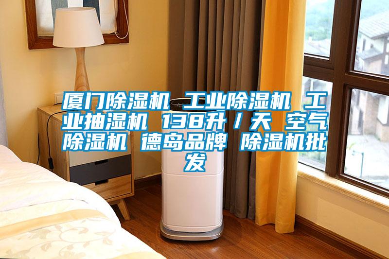 廈門除濕機(jī) 工業(yè)除濕機(jī) 工業(yè)抽濕機(jī) 138升/天 空氣除濕機(jī) 德島品牌 除濕機(jī)批發(fā)