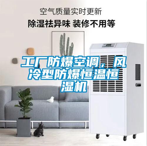 工廠防爆空調(diào),風(fēng)冷型防爆恒溫恒濕機(jī)