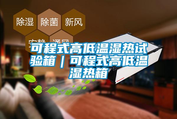 可程式高低溫濕熱試驗箱|可程式高低溫濕熱箱