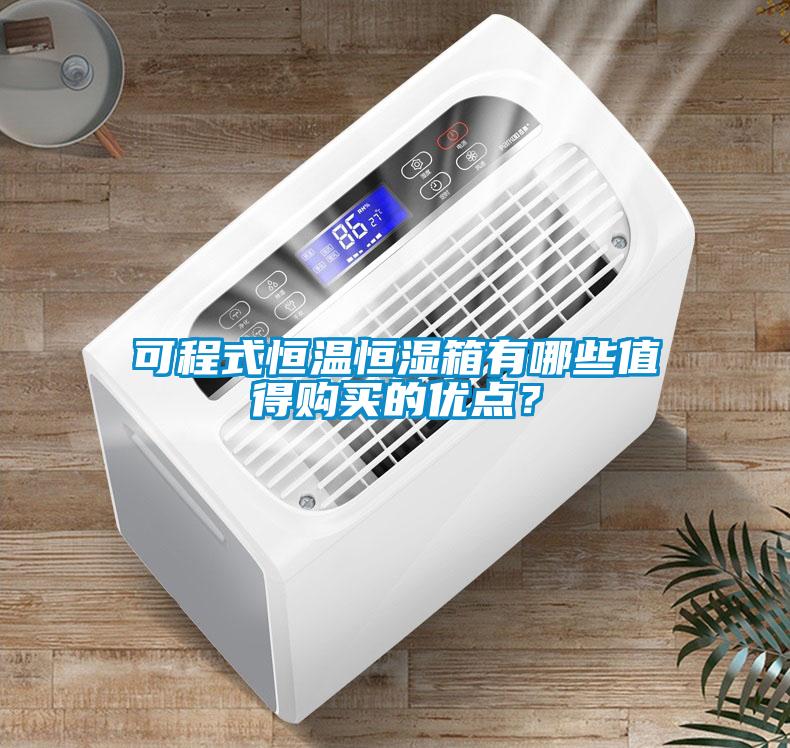 可程式恒溫恒濕箱有哪些值得購(gòu)買的優(yōu)點(diǎn)？