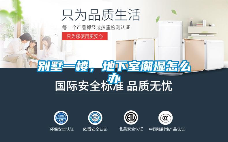 別墅一樓，地下室潮濕怎么辦