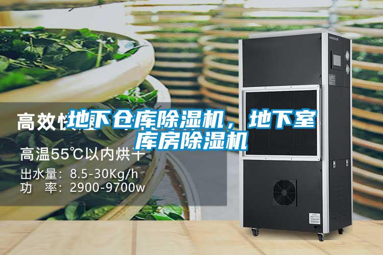 地下倉庫除濕機(jī)，地下室?guī)旆砍凉駲C(jī)