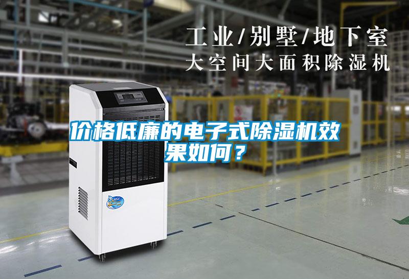 價格低廉的電子式除濕機效果如何？