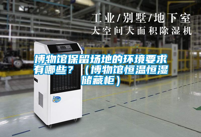 博物館保留場地的環(huán)境要求有哪些?(博物館恒溫恒濕儲藏柜)