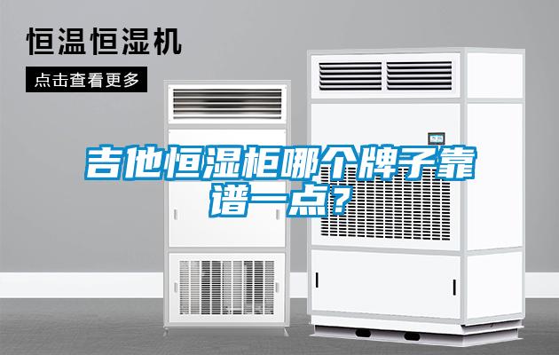 吉他恒濕柜哪個牌子靠譜一點？