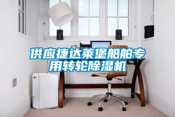 供應捷達萊堡船舶專用轉(zhuǎn)輪除濕機