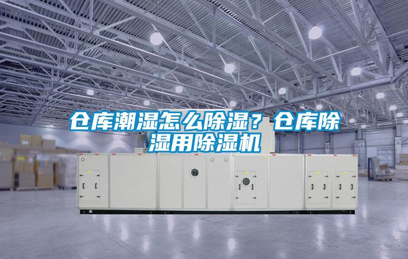 倉庫潮濕怎么除濕？倉庫除濕用除濕機(jī)
