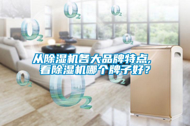 從除濕機(jī)各大品牌特點(diǎn), 看除濕機(jī)哪個(gè)牌子好？