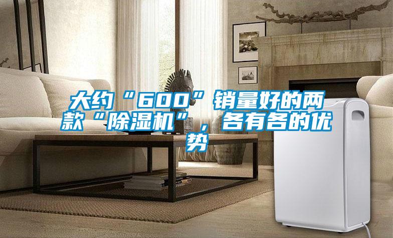 大約“600”銷量好的兩款“除濕機(jī)”，各有各的優(yōu)勢(shì)