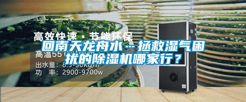 回南天龍舟水…拯救濕氣困擾的除濕機(jī)哪家行？