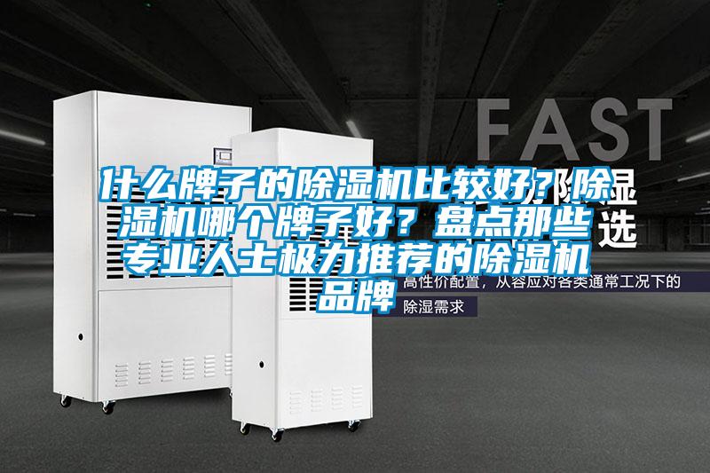 什么牌子的除濕機(jī)比較好？除濕機(jī)哪個(gè)牌子好？盤(pán)點(diǎn)那些專(zhuān)業(yè)人士極力推薦的除濕機(jī)品牌