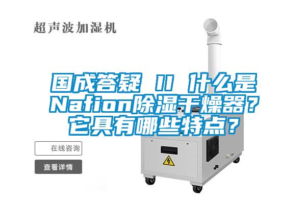 國成答疑 II 什么是Nafion除濕干燥器？它具有哪些特點？