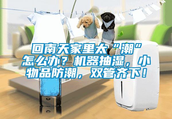 回南天家里太“潮”怎么辦？機(jī)器抽濕，小物品防潮，雙管齊下！