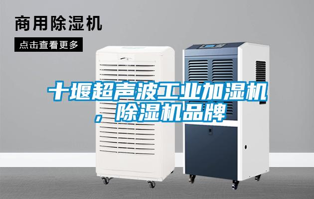 十堰超聲波工業(yè)加濕機(jī)，除濕機(jī)品牌