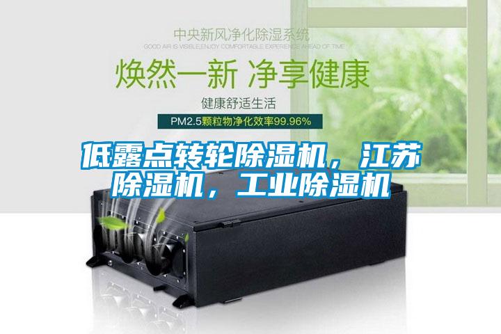 低露點轉(zhuǎn)輪除濕機，江蘇除濕機，工業(yè)除濕機
