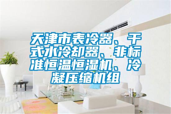 天津市表冷器、干式水冷卻器、非標準恒溫恒濕機、冷凝壓縮機組