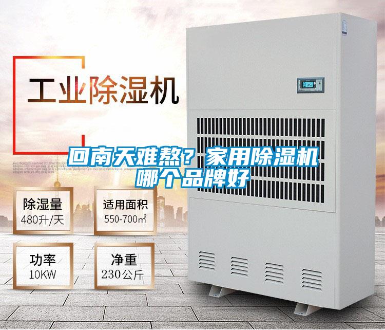 回南天難熬？家用除濕機(jī)哪個(gè)品牌好