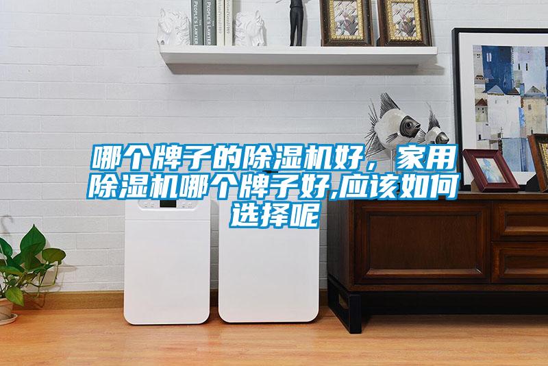 哪個(gè)牌子的除濕機(jī)好，家用除濕機(jī)哪個(gè)牌子好,應(yīng)該如何選擇呢