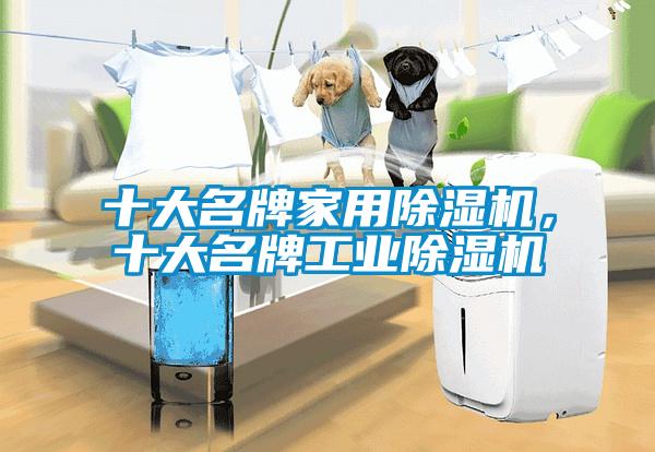 十大名牌家用除濕機(jī)，十大名牌工業(yè)除濕機(jī)