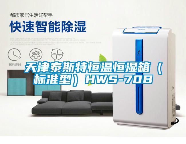 天津泰斯特恒溫恒濕箱(標(biāo)準(zhǔn)型)HWS-70B