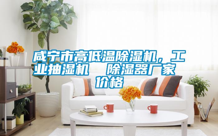 咸寧市高低溫除濕機(jī)，工業(yè)抽濕機(jī)  除濕器廠家 價(jià)格