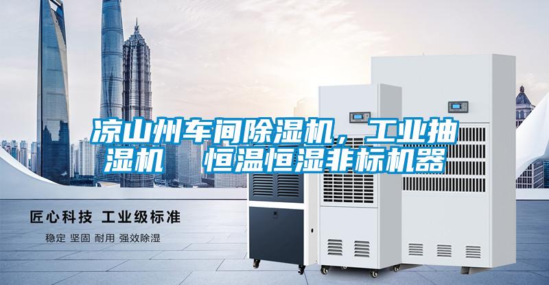 涼山州車間除濕機(jī)，工業(yè)抽濕機(jī)  恒溫恒濕非標(biāo)機(jī)器
