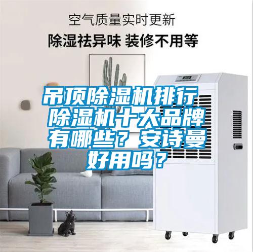 吊頂除濕機排行 除濕機十大品牌有哪些？安詩曼好用嗎？