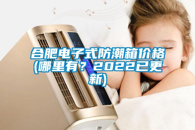 合肥電子式防潮箱價格(哪里有？2022已更新)