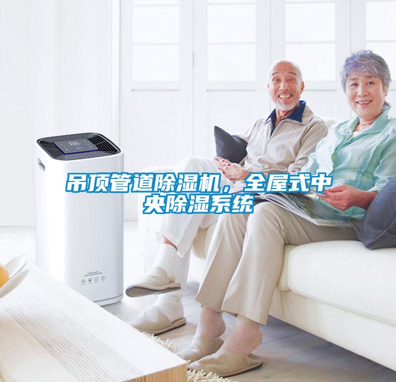 吊頂管道除濕機(jī)，全屋式中央除濕系統(tǒng)
