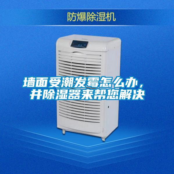 墻面受潮發(fā)霉怎么辦，東井除濕器來(lái)幫您解決