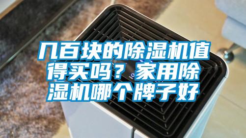 幾百塊的除濕機(jī)值得買嗎？家用除濕機(jī)哪個(gè)牌子好