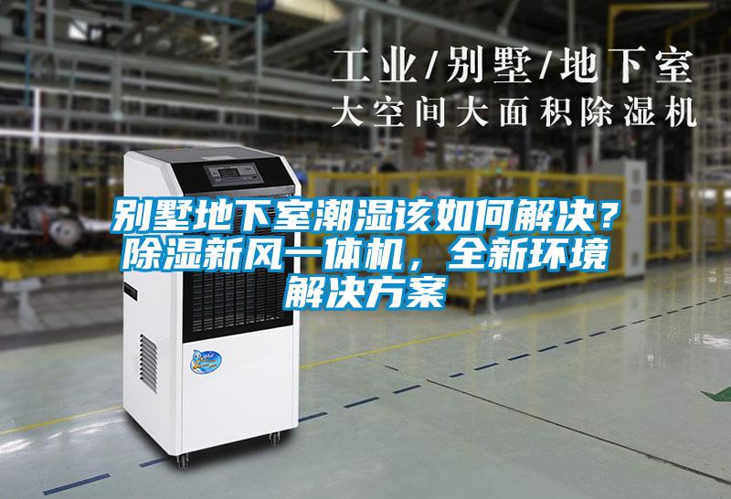 別墅地下室潮濕該如何解決？除濕新風(fēng)一體機(jī)，全新環(huán)境解決方案