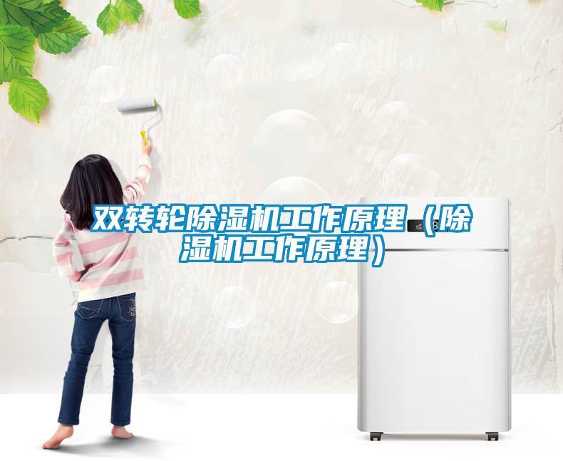 雙轉輪除濕機工作原理(除濕機工作原理)