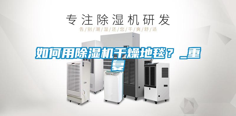 如何用除濕機干燥地毯？_重復