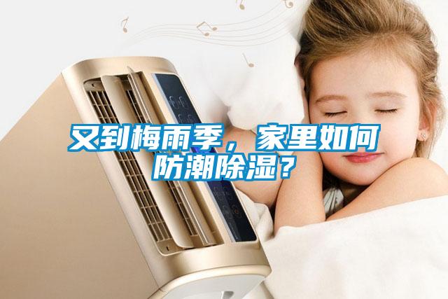 又到梅雨季，家里如何防潮除濕？