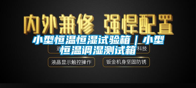 小型恒溫恒濕試驗(yàn)箱|小型恒溫調(diào)濕測試箱