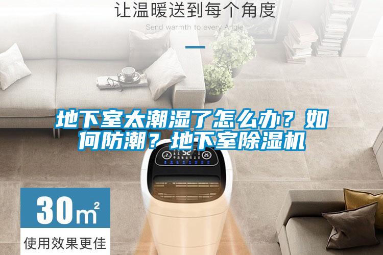 地下室太潮濕了怎么辦？如何防潮？地下室除濕機