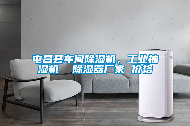 屯昌縣車間除濕機(jī)，工業(yè)抽濕機(jī)  除濕器廠家 價(jià)格