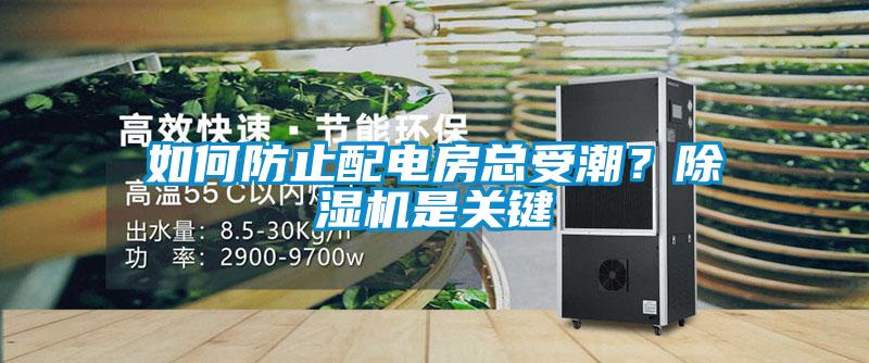 如何防止配電房總受潮？除濕機是關(guān)鍵