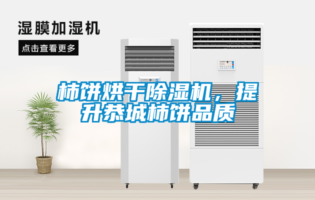 柿餅烘干除濕機,提升恭城柿餅品質